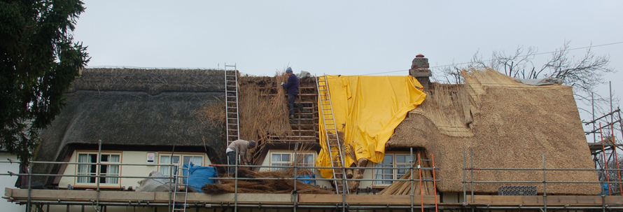 Water reed, Hertfordshire, Mackay Thatching