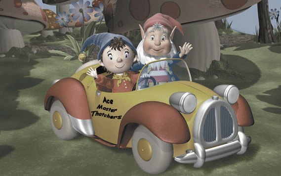 Ace Master Thatchers