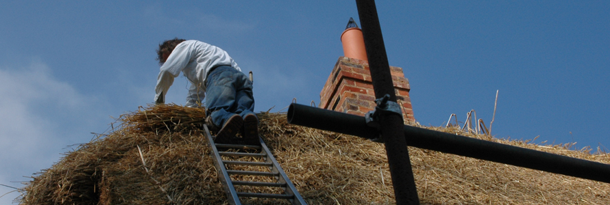 Long Straw Thatching-Nick Mackay